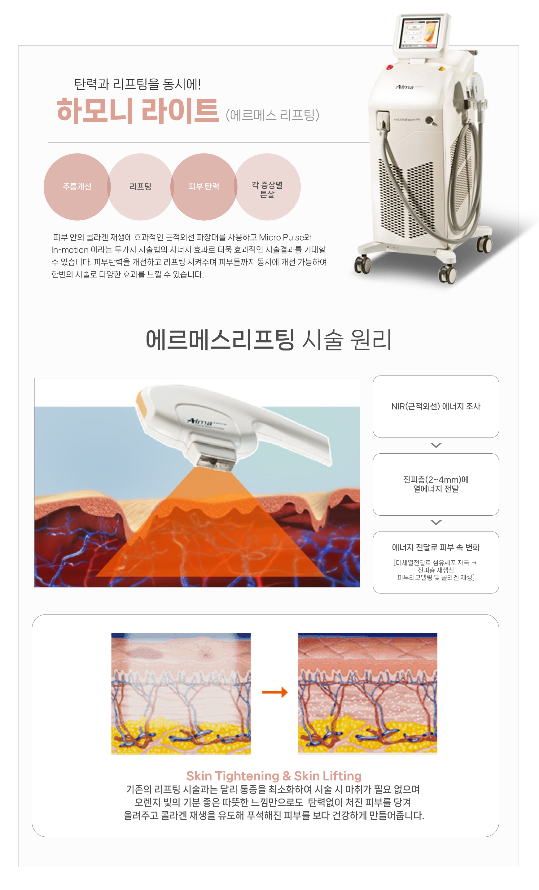 이미지명